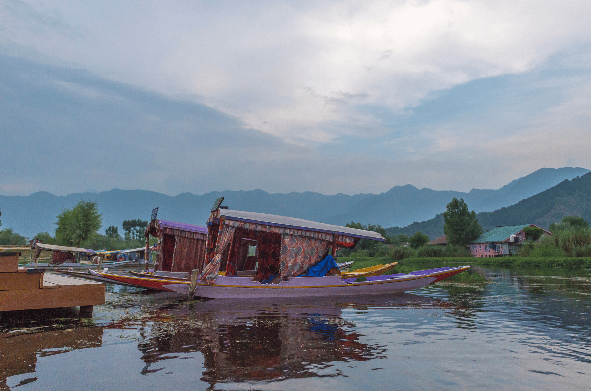 Wooden shikaras moored along the Dal Lake boulevard, Srinagar