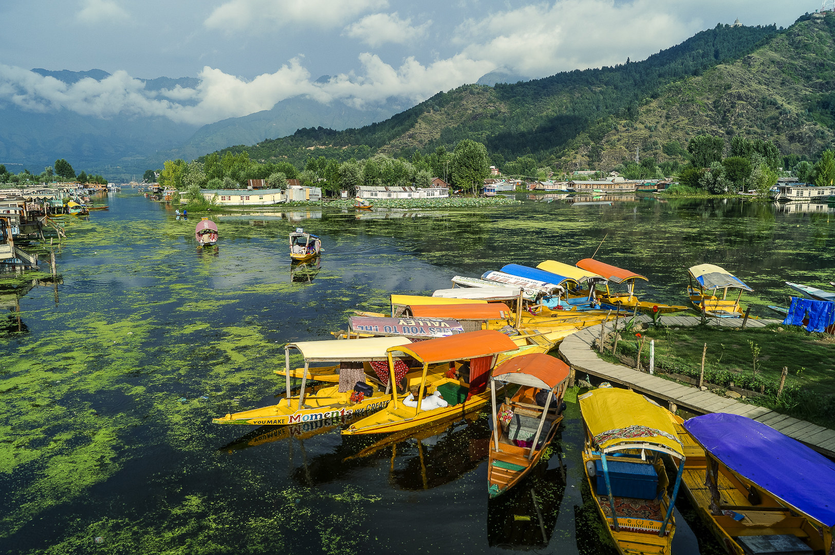 Evening reflections on Dal Lake, Srinagar, Kashmir