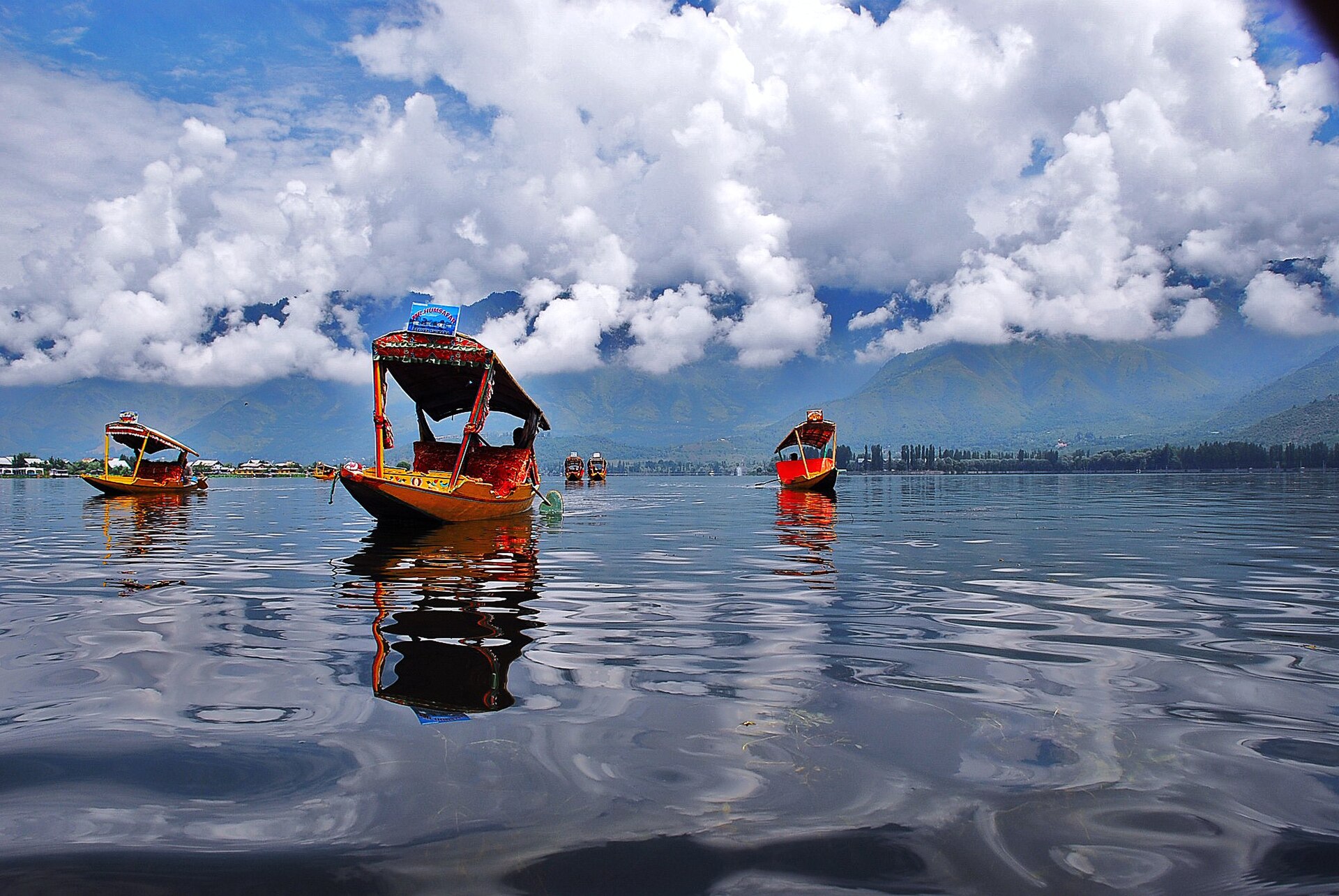 Shikaras waiting at the ghat on Dal Lake, Srinagar, Kashmir