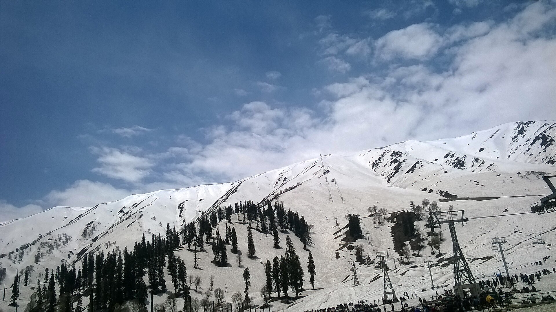 Gulmarg meadow of flowers in May, Kashmir