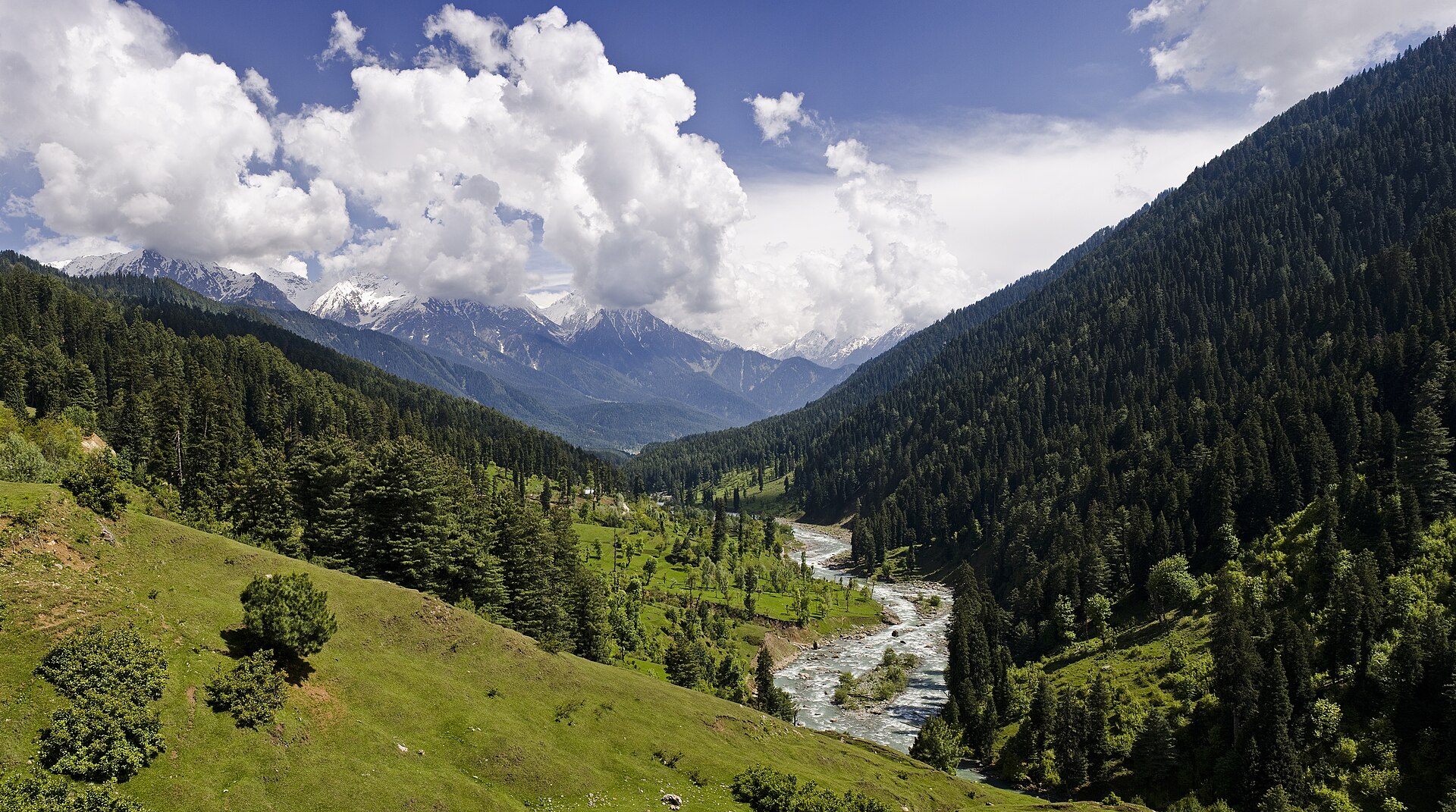 Lidder valley at Pahalgam with pine forest and river, Kashmir